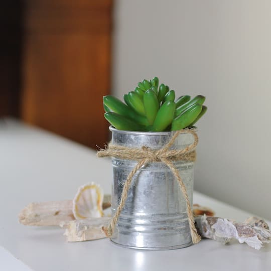 5" Green Mini Pachyveria Succulent in Tin Planter